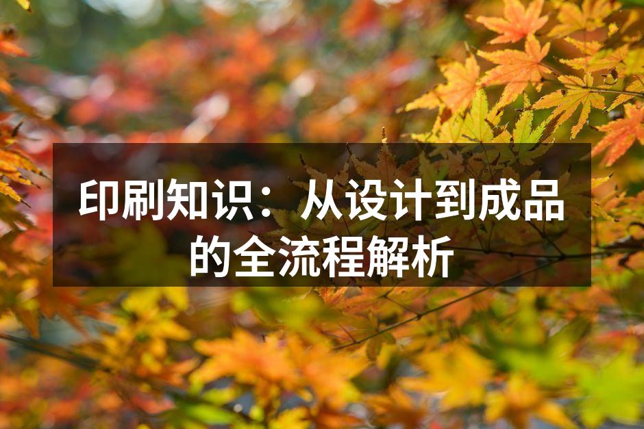 高质量印刷材料展示