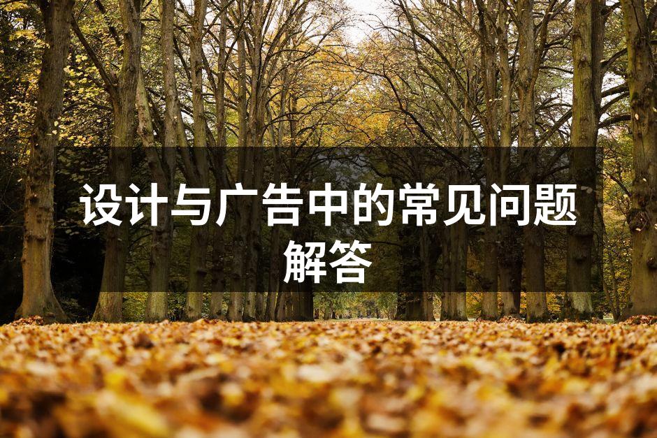 设计领域的创意表达